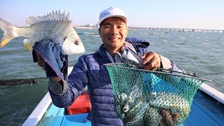 阿烽出海抓到大鱼，请奶茶西施喝奶茶，想让她代替阿鑫当摄影师