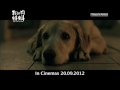 my dog dou dou 《我的狗蚪蚪》trailer no. 2