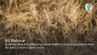 Understanding and addressing climate resilience at an organisational level