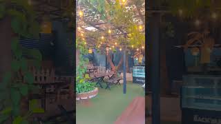 amazing place 🕊️#backyard cafe #belgaum #shorts #youtubeshorts #viral