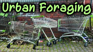 Urban Foraging UK - Free Wild Edibles Outside Supermarket