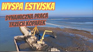 WYSPA ESTYJSKA  - DYNAMICZNA PRACA  TRZECH KOPAREK