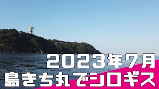 【相模湾のキス船釣り】船釣り初心者が行く！片瀬漁港 島きち丸 から 相模湾 シロギス の 船釣り 2023年7月【神奈川県 江ノ島】