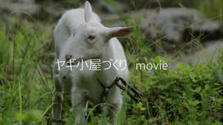 ヤギ小屋づくり　movie