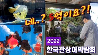 2022년 관상어박람회 못가시는 분들을 위한 영상 | 아쿠아펫랜드 | 아로와나 | 테라핀거북이 | 비단잉어