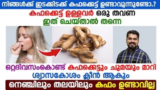 ഇടക്കിടക്ക് വരുന്ന കഫക്കെട്ട് പൂർണമായി മാറ്റാൻ ഒരു തവണ ഇങ്ങനെ ചെയ്‌താൽ മതി|Kaphakkett|