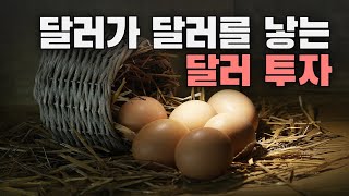 환율우대 100% 받고 추가수익도 얻는 달러투자 (Feat. 달러RP, 발행어음)