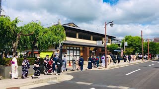 2022年6月8日(水)の京都嵐山🌤 Kyoto Arashiyama