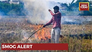 Punjab Stubble Burning Continues : Will Delhi Breathe Easy This Winter?