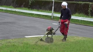 九州合宿免許 おすすめと評判の綺麗な学校 宮崎