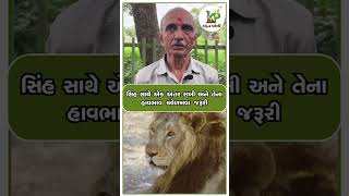 સિંહ વિશે જાણો એવી વાતો જે તમે નથી જાણતા, સિંહ કોઈ પણ પ્રકારે સિંહ કોઈ પણ પ્રકારે હિંસક નથી.