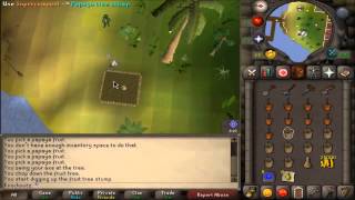 Osrs Farming Guide Fruit Trees Normal Trees