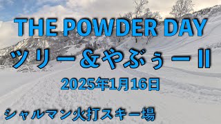 20250116-2 _シャルマン火打スキー場 スノーボードパウダーラン ツリー＆藪