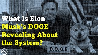 What Is Elon Musk's DOGE Revealing About the System?