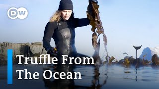 Why "Ocean Truffle" Is So Delicious (And So Expensive)