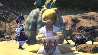 【FF14楽器演奏】灼熱の地へ