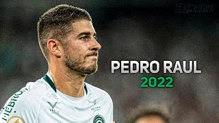 Pedro Raul 2022 ● Goiás ► Dribles, Gols \u0026 Assistências | HD