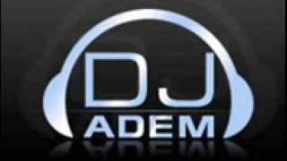 DJ ADEM VS Rishi Rich ft. Jay Sean &amp; JuggyD - Push It Up