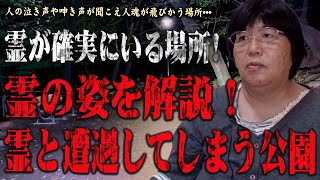 【心霊】困惑する霊能力者･･･霊視で視える様々な霊を解説！ 心霊スポット 遠隔霊視 東京都 都立戸山公園 箱根山