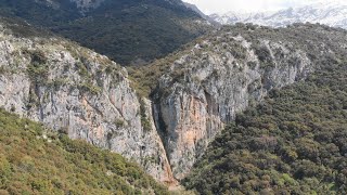 ΚΑΤΑΡΡΑΚΤΗΣ ΤΗΣ \