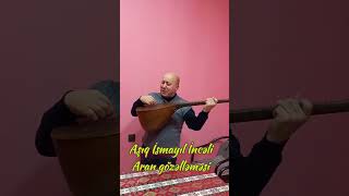 Aşıq İsmayıl İncəli - Aran gözəlləməsi