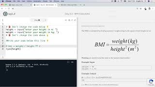 23 Interactive Coding Exercise BMI Calculator