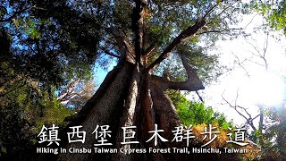 【旅遊紀事】鎮西堡 巨木群步道 Hiking in Cinsbu Taiwan Cypress Forest Trail, Hsinchu, Taiwan