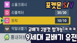 [포켓몬스터 스칼렛/바이올렛] 교배기 유전 1분만에 알려드림!!