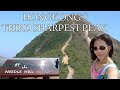 How to hike Needle Hill from shatin ||Hong Kong’s third-sharpest peak