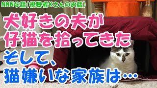 【NNNな話】犬好きの夫が仔猫を拾ってきた。そして、猫嫌いな家族は…