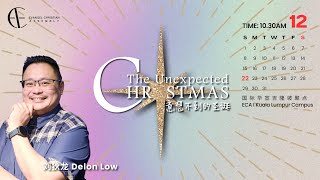 《The Unexpected Christmas 意想不到的圣诞》