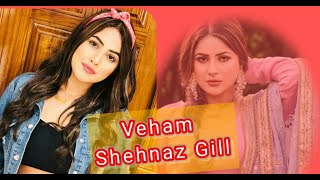 VEHAM - Full Video Song | Shehnaz Gill, Laddi gill || St Studio| Whatsapp Status video Shehnaz Gill