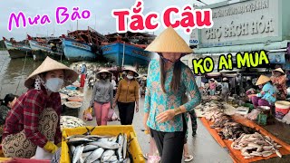 Mưa gió bình địa Chợ Tắc Cậu - Hải sản chất đống than thở ko ai mua