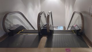 【エスカレーター】イオンタウン東大阪 くだり【Escalator】AEON TOWN