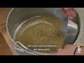 BEJO | Seed sampling process - [EN-PL]