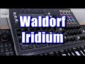 Waldorf Iridium Demo & Review