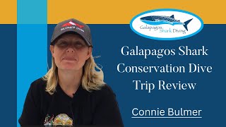 Connie Bulmer's Review of Galapagos Dive Liveaboard Experience: Whale Shark Diving with a  Purpose