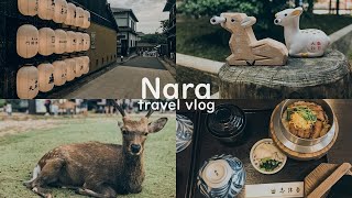 VLOG🦌大阪×奈良 | 釜飯．春日大社．小鹿斑比