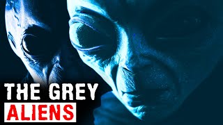 THE GREY ALIENS (Aliens, or Something More Sinister..?) Mysteries with a History
