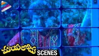 Mayalodu Movie Scenes | Kota Srinivasa Rao scared of Babu Mohan's disguise | Rajendra Prasad