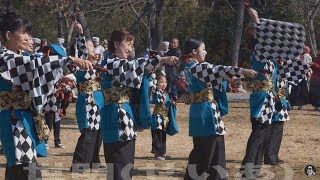 世明（せいあ） 巾着田・鍋まつり新春よさこい2019