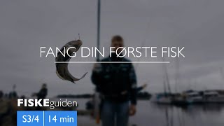 FISKEguiden: Fang din første fisk