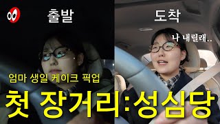 🎂월간효도인 | 케잌 사러 삼만리 |성심당 케잌 픽업 vlog | 몸으로 때우는 효도