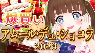 【バレンタイン】アムール・デュ・ショコラ2023でチョコ爆買い＆食レポ！