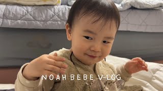 19개월 아기 VLog｜쮸쮸 먹는자리｜엄마 쟁탈전