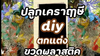 ปลูกเคราฤาษี ใช้ของเก่าให้เกิดประโยชน์ ขวดน้ำเก่าตกแต่ง#ไม้ประดับ #DIY#เคราฤาษี