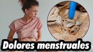 ¿Por qué los hombres no sufren cólicos y por qué son tan dolorosos?