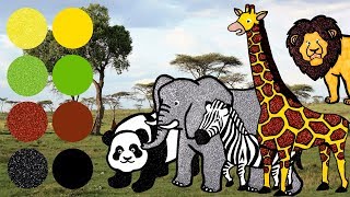 Safari Animals Eat Lunch At the Zoo! | Learn What Wild Animals Eat