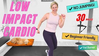 Low Impact Cardio/NO JUMPING! Fat Burning Workout!