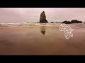 Rodriguez Jr. - What Is Real feat. Liset Alea (Floyd Lavine Remix) [Afro House / Mobilee]